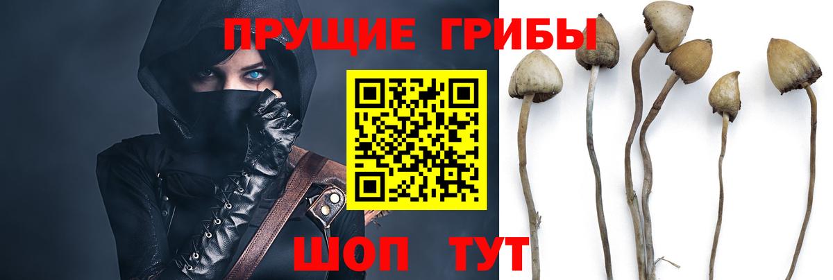 Мариинск  Галлюциногенные грибы Cubensis  Вход с VPN  Псилоцибиновые грибы MAGIC MUSHROOMS 